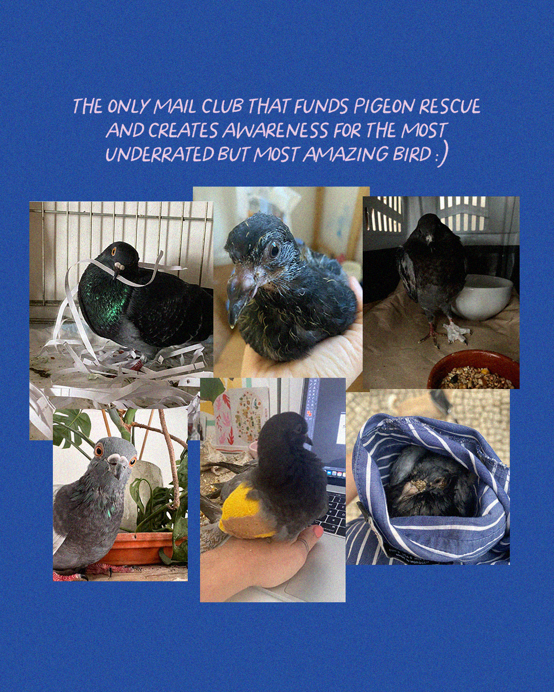 Pigeon Post Club