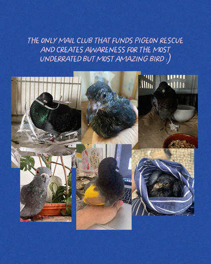 Pigeon Post Club